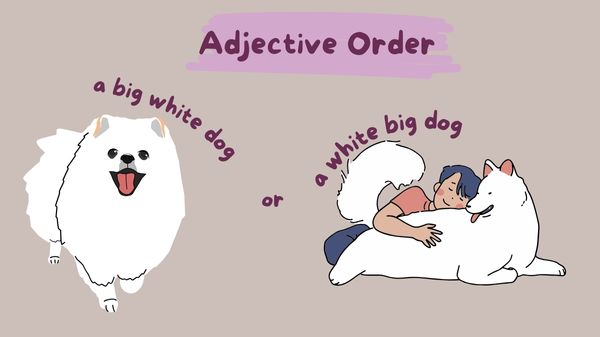 Trật tự của tính từ (The orders of the adjectieves)